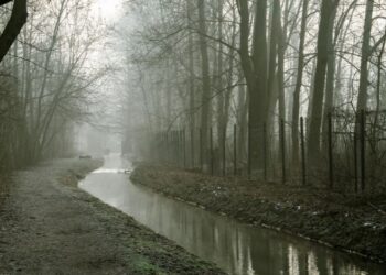 Accept What You Cannot Change