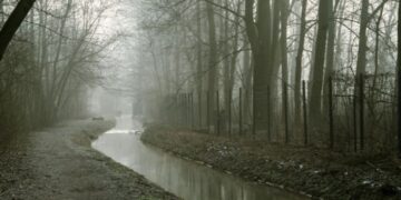 Accept What You Cannot Change