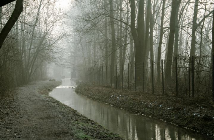 Accept What You Cannot Change