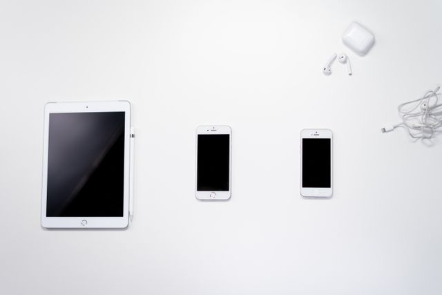 981b12 Apple Decoding the Hidden Identifier